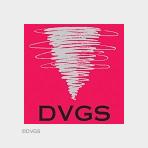 Deutscher Verband für Gesundheitssport und Sporttherapie e.V. (Bildquelle: DVGS)
