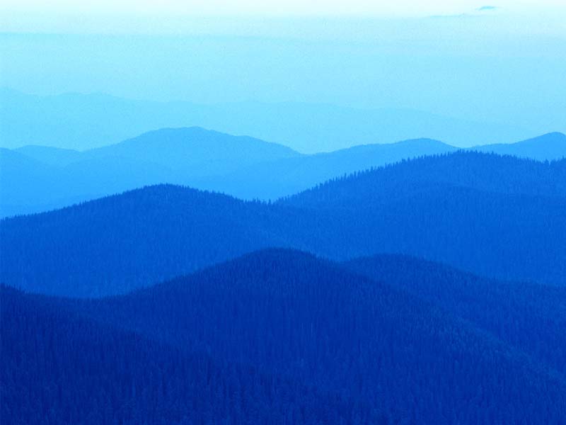 Die Blutdruckwerte sollen im dunklen Bereich liegen - Die Blutdruckwerte sollen im dunklen Bereich liegen -