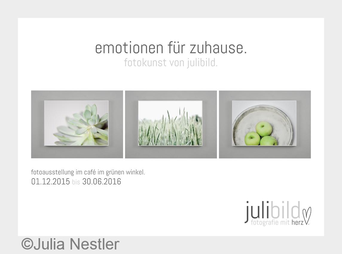 Fotoausstellung?emotionen für zuhause?(Bildquelle: Julia Nestler)