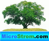 Microstrom.com setzt auf Ökostrom