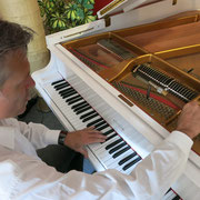 Klavierstimmer Schneider
