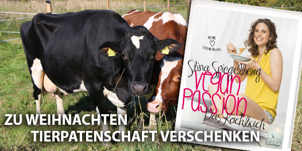 Deutsches Tierschutzbüro bietet als Alternative Patenschaften für Tiere als Weihnachtsgeschenk an Deutsches Tierschutzbüro bietet als Alternative Patenschaften für Tiere als Weihnachtsgeschenk an