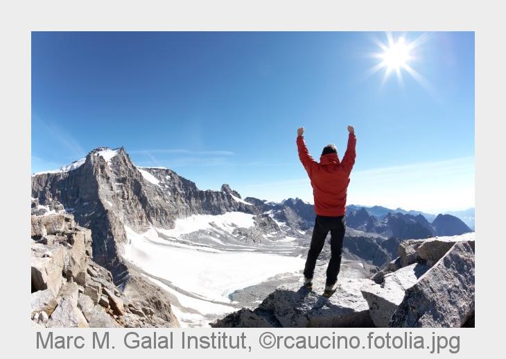 (Bildquelle: Marc M. Galal Institut,©rcaucino.fotolia.jpg)