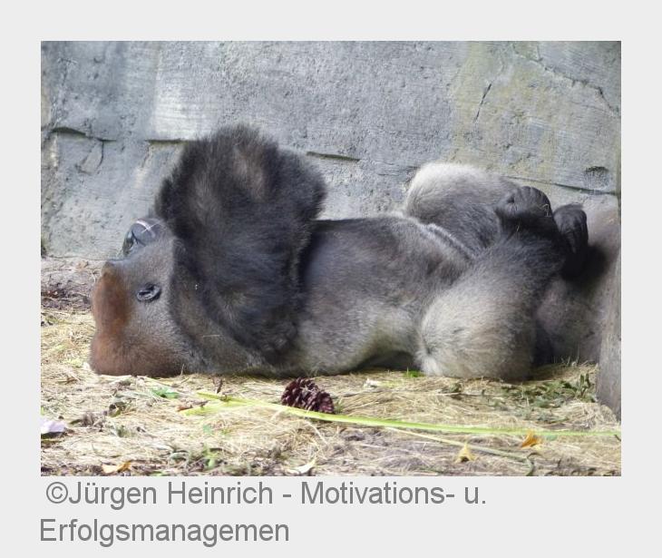 (Bildquelle: Jürgen Heinrich - Motivations- u. Erfolgsmanagemen)