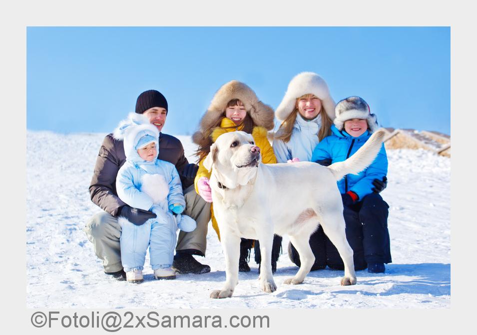 Winter-Urlaub mit Hund - Hundefreundliche Gastgeber und zauberhafte Winterangebote (Bildquelle: Foto Winter-Urlaub mit Hund - Hundefreundliche Gastgeber und zauberhafte Winterangebote (Bildquelle: Foto