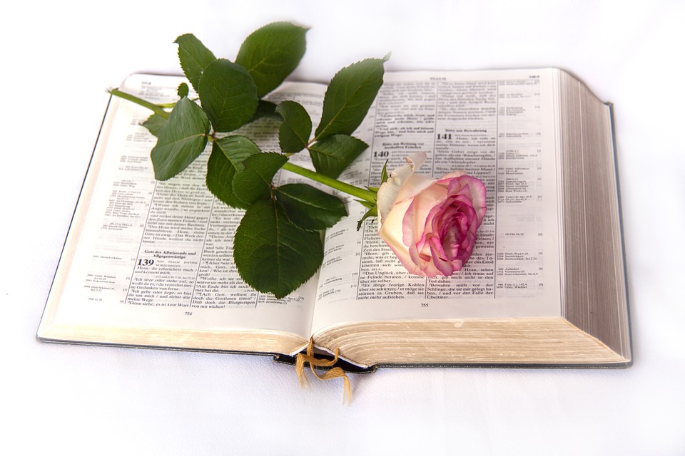 Bibel: Ein schönes und nützliches Geschenk.... Bibel: Ein schönes und nützliches Geschenk....