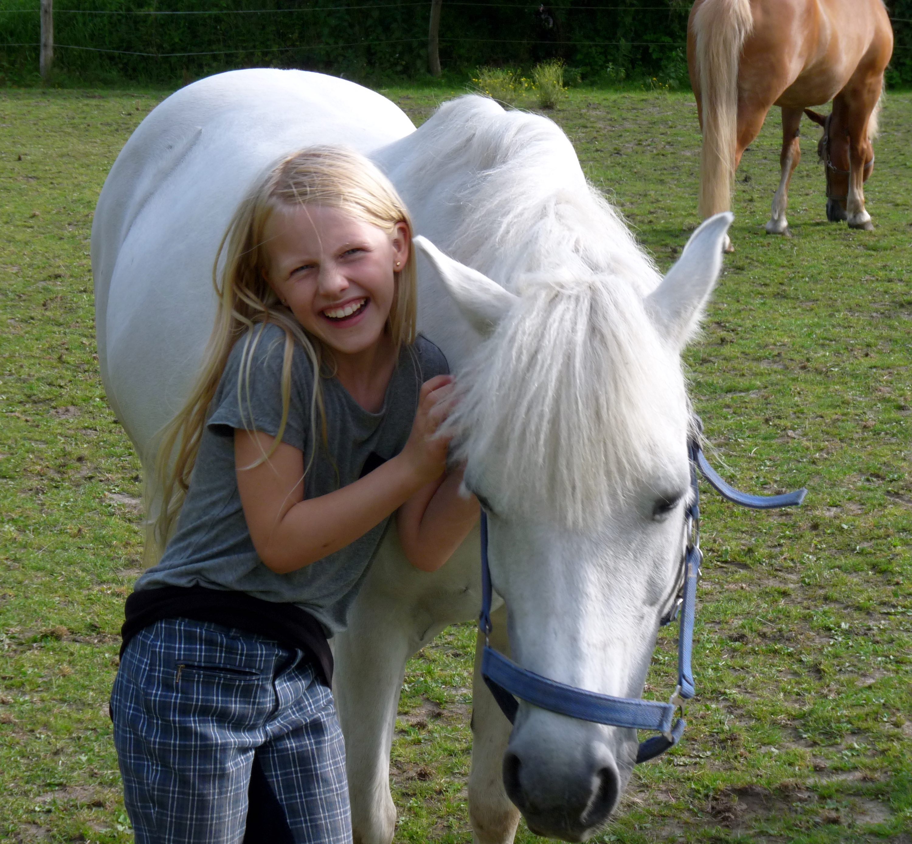 Pferde verstehen und Reiten lernen beim Pony Führerschein® Pferde verstehen und Reiten lernen beim Pony Führerschein®