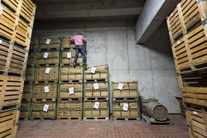 Deutschlands verrückteste Weinsammlung Deutschlands verrückteste Weinsammlung
