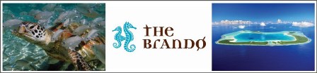 The Brando The Brando