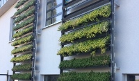 CityLam Systembegrünung am EuroLam-Hauptgebäude