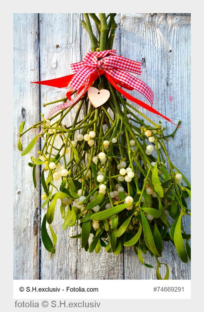 Das Küssen unter aufgehängten Mistelzweigen gehört zu den schönsten Weihnachtsbräuchen (Bildquelle: 