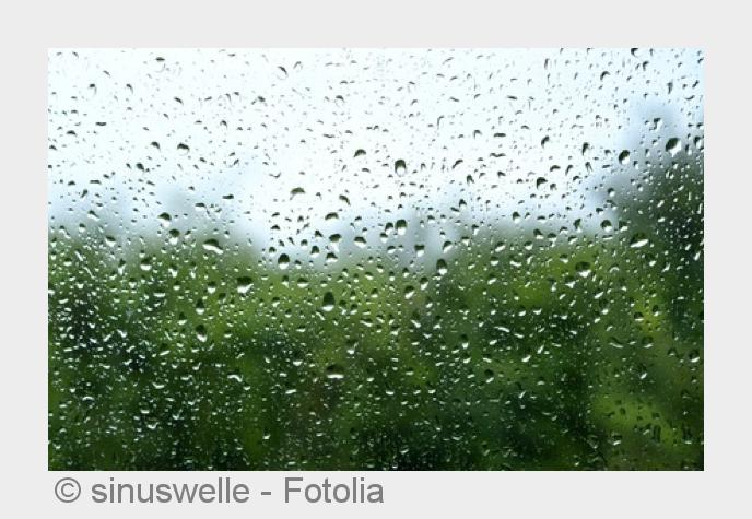 Premiumlinsen ermöglichen scharfes Kontrastsehen. (Bildquelle:©sinuswelle - Fotolia) Premiumlinsen ermöglichen scharfes Kontrastsehen. (Bildquelle:©sinuswelle - Fotolia)