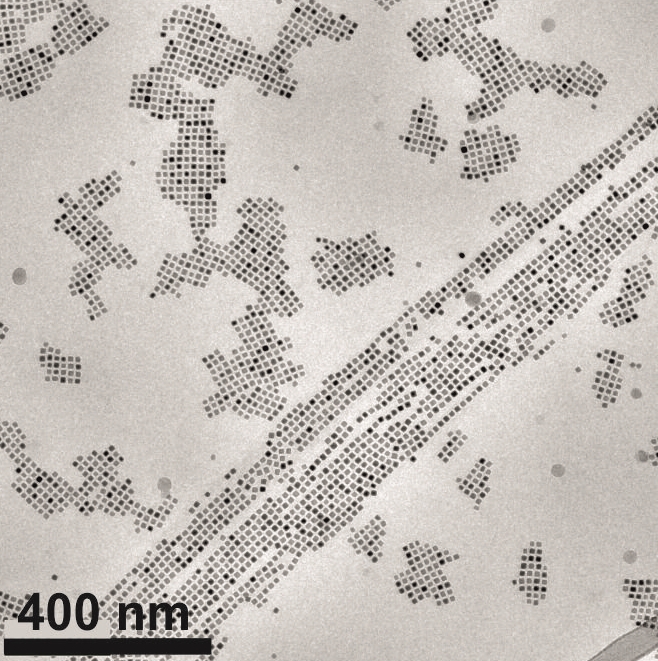 Elektronenmikroskopische Aufnahme magnetischer Nanopartikel die sich im Magnetfeld zu Ketten und Fl Elektronenmikroskopische Aufnahme magnetischer Nanopartikel die sich im Magnetfeld zu Ketten und Fl