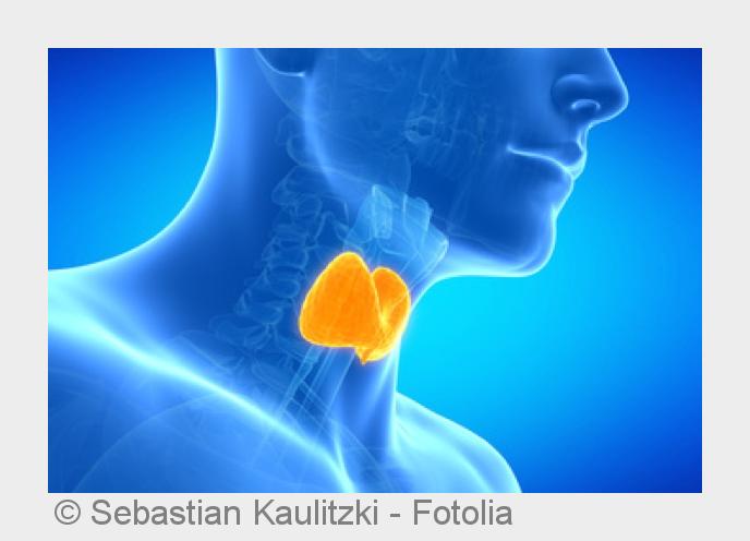 Eine Fehlfunktion der Schilddrüse kann weitreichende Folgen haben. (Bildquelle:©Sebastian Kaulitzki Eine Fehlfunktion der Schilddrüse kann weitreichende Folgen haben. (Bildquelle:©Sebastian Kaulitzki