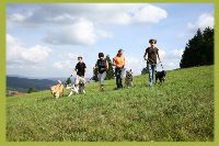 Hundewanderung in Bayern Hundewanderung in Bayern