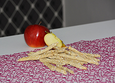 Gesunde Hundesnacks Zuckerfrei Gesunde Hundesnacks Zuckerfrei