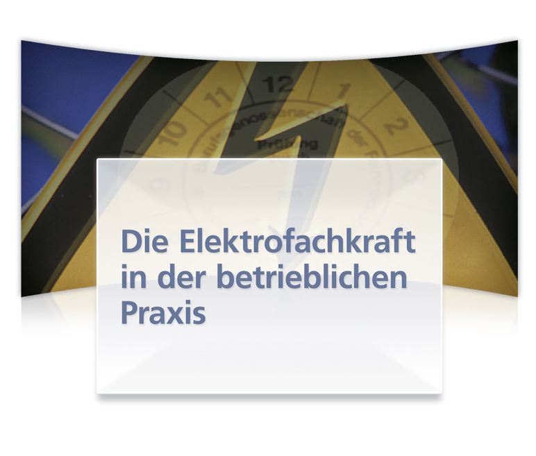 Die Elektrofachkraft in der betrieblichen Praxis: Elektrosicherheit effizient organisieren Die Elektrofachkraft in der betrieblichen Praxis: Elektrosicherheit effizient organisieren