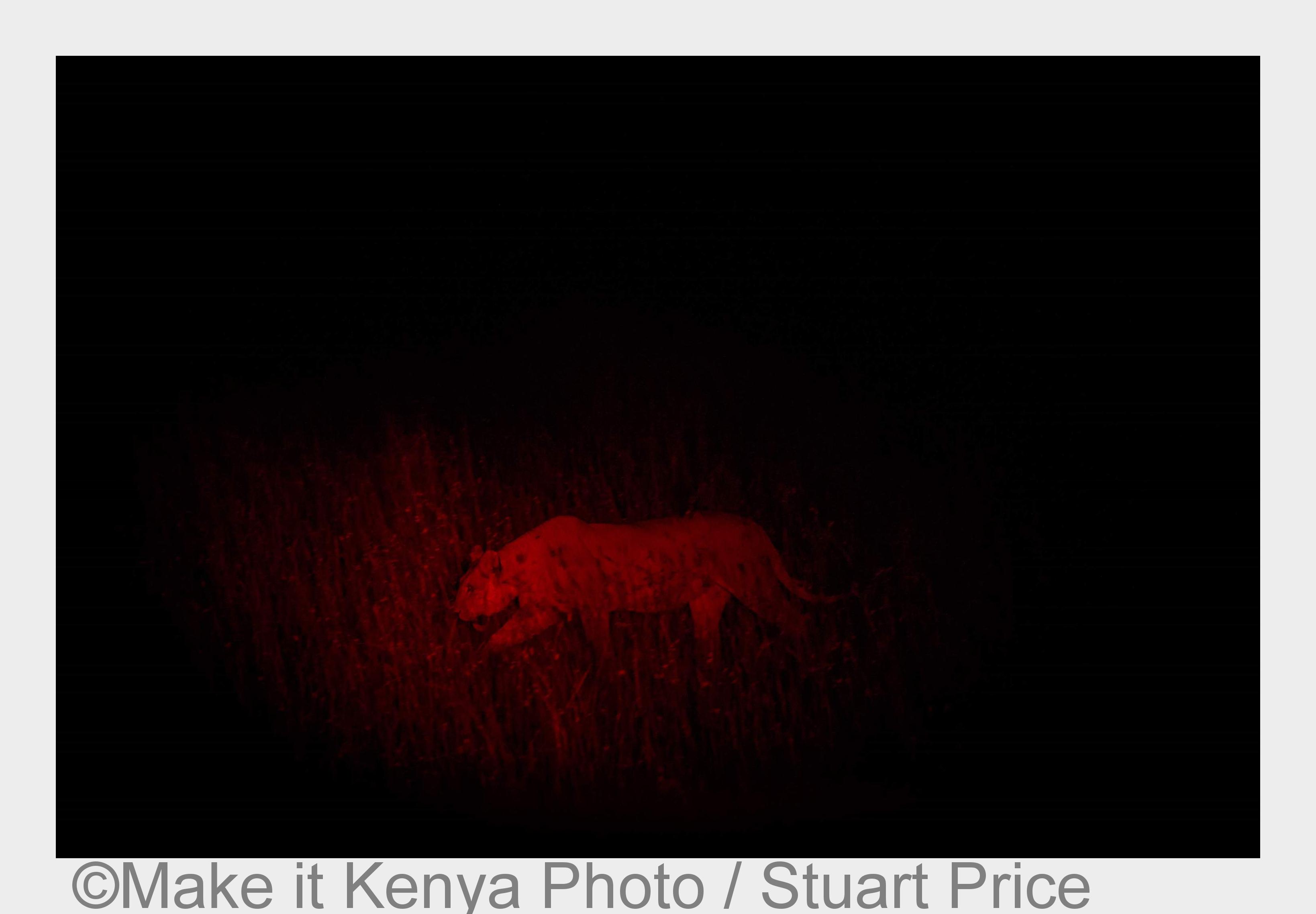 (Bildquelle: Make it Kenya Photo / Stuart Price) (Bildquelle: Make it Kenya Photo / Stuart Price)