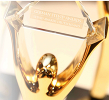 Die Auszeichnung: Die goldene Stevie Awards Trophäe Die Auszeichnung: Die goldene Stevie Awards Trophäe