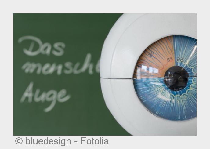 Der Graue Star stellt eine Alterserscheinung dar. (Bildquelle:©bluedesign - Fotolia) Der Graue Star stellt eine Alterserscheinung dar. (Bildquelle:©bluedesign - Fotolia)