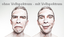 2 gesichter