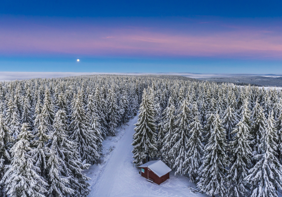 Romantischer Winterwald bei Masserberg Romantischer Winterwald bei Masserberg