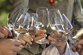 Nette Gesellschaft bei einem guten Glas Riesling genießen. Nette Gesellschaft bei einem guten Glas Riesling genießen.