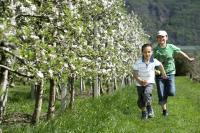 Kinder mit Apfelblüte © Helmuth Rier