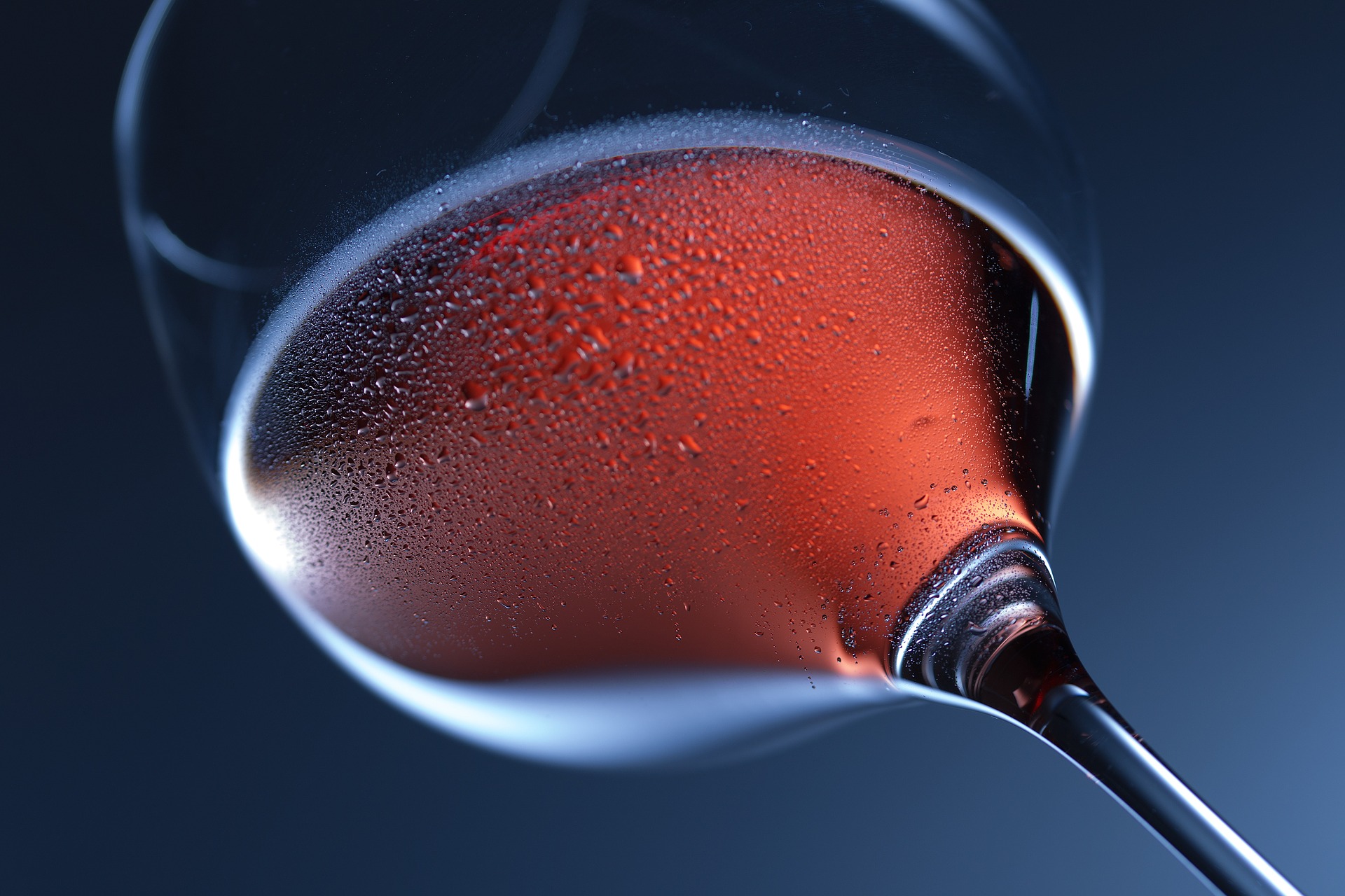 Wine-Domains und Vin-Domains ranken bei einschlägigen Suchanfragen in Google besser als andere Domai Wine-Domains und Vin-Domains ranken bei einschlägigen Suchanfragen in Google besser als andere Domai