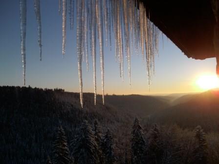 © Ausblick von Burg Hornberg. By Lothar Schweitzer