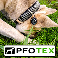 Paracord Halsband von Pfotex.de