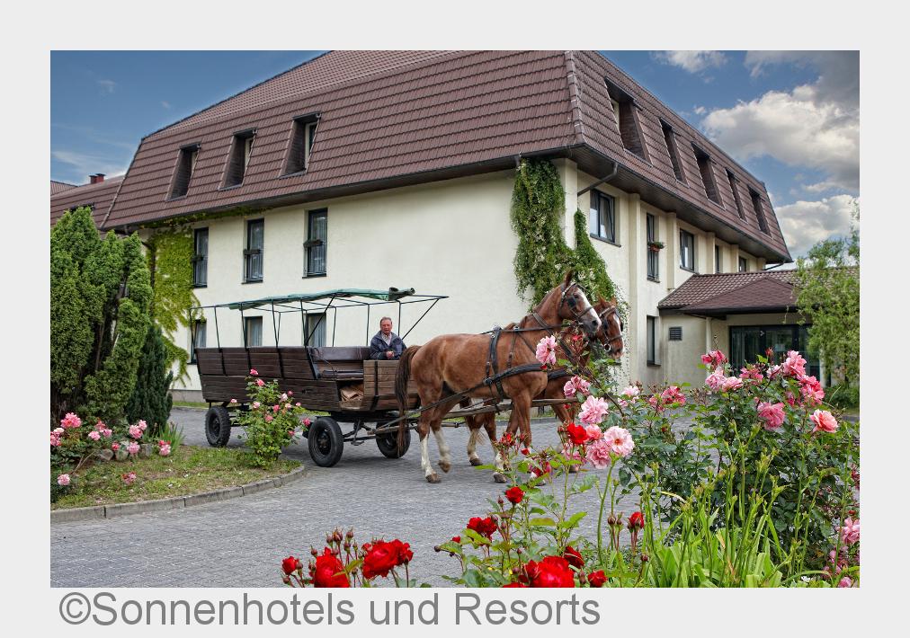 Das Sonnenhotel Feldberg am See liegt idyllisch oberhalb des Haussees (Bildquelle: Sonnenhotels und 