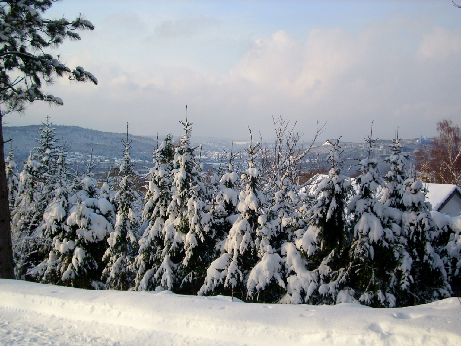 Vom verschneiten Wald geht der Blick weit ins Land. (Foto: presseweller)
