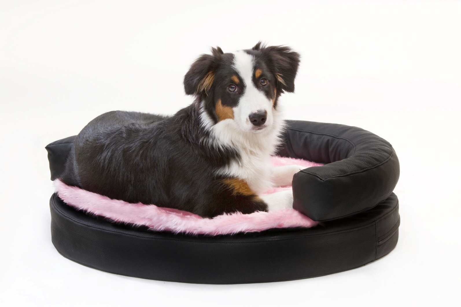 Orthopädisches DoggyBed Orthopädisches DoggyBed
