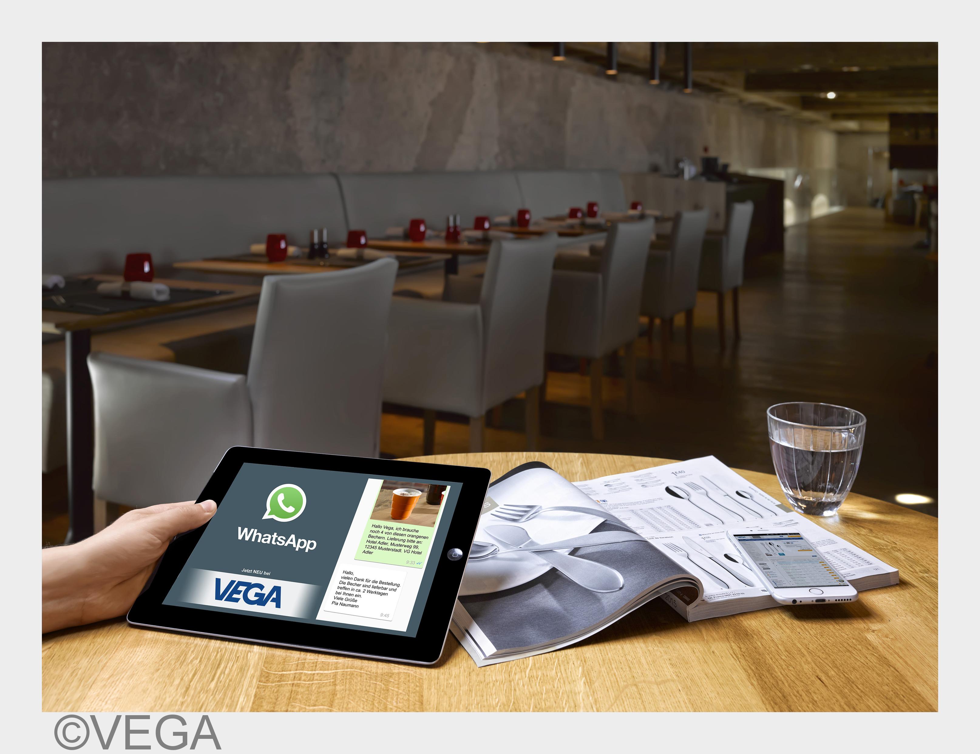 (Bildquelle: VEGA) (Bildquelle: VEGA)