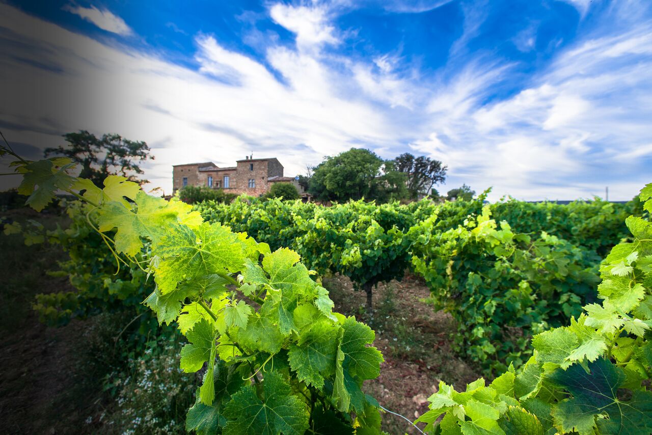 Weingut Mas Zenitude Weingut Mas Zenitude
