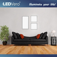 Junge LEDVero bringt eine neue Produktlinie ihrer LED-Panels auf den Markt