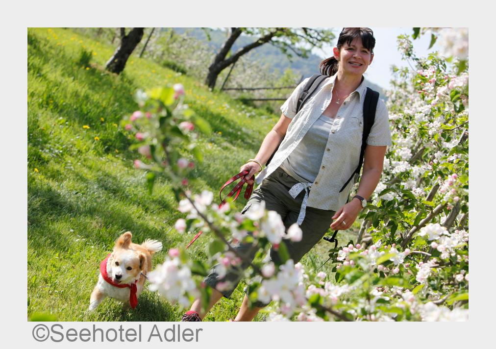 Ostern am Bodensee im Seehotel Adler verbringen (Bildquelle: Seehotel Adler) Ostern am Bodensee im Seehotel Adler verbringen (Bildquelle: Seehotel Adler)