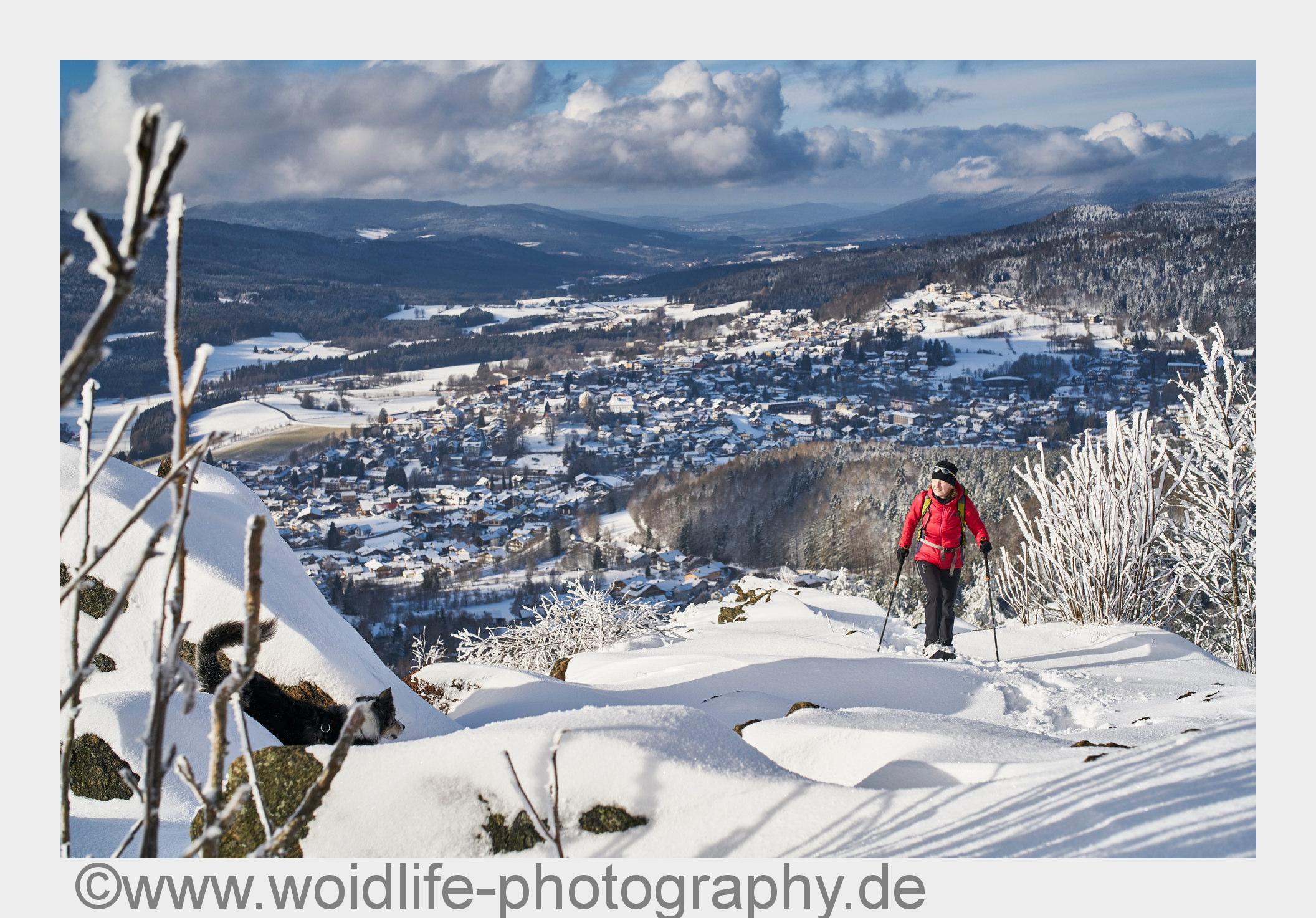Schneeschuhwandern am Silberberg (Bildquelle: www.woidlife-photography.de)