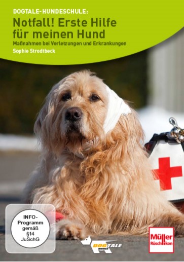 Notfall! Erste Hilfe für meinen Hund