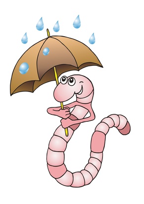 15.02.2016 - Tag des Regenwurms