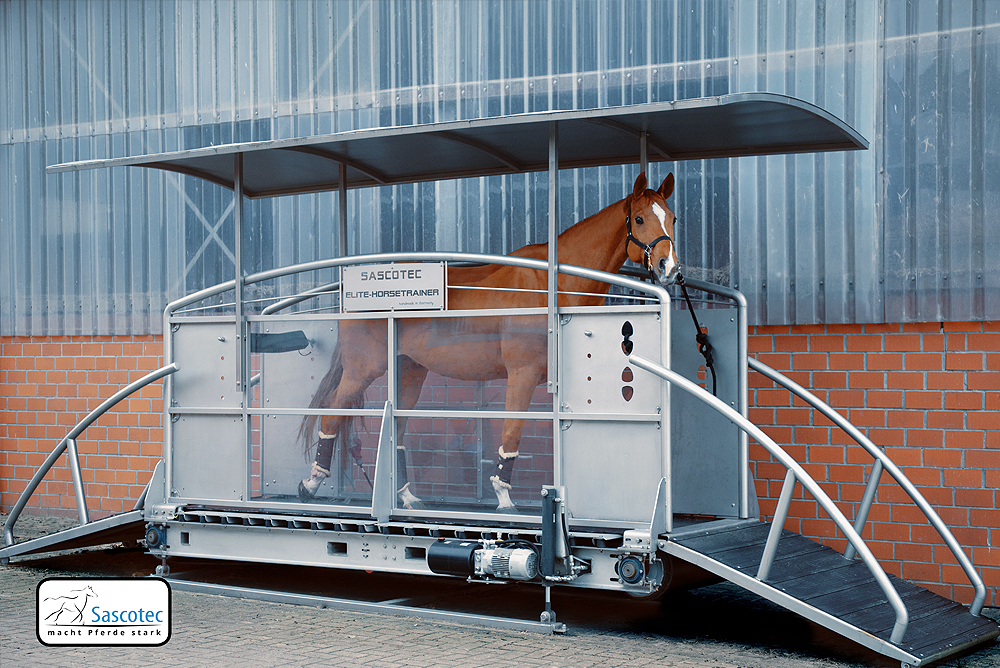 Pferdelaufband Sascotec Horse2x Pferdelaufband Sascotec Horse2x