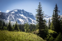 Urwald Sonnblick (c)Florian Bachmeier (Raurisertal)