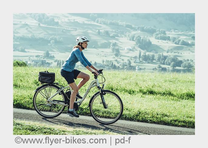 (Bildquelle: www.flyer-bikes.com | pd-f) (Bildquelle: www.flyer-bikes.com | pd-f)
