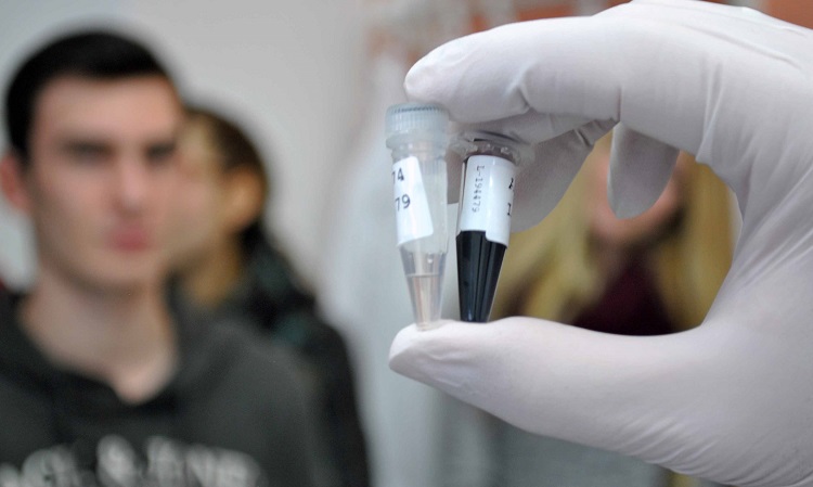 Praxisnah vermittelt die Stefan-Morsch-Stiftung Schülern die Molekularbiologie.