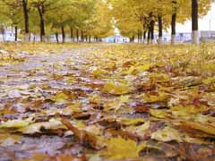 Fahrradfahren im Herbst Fahrradfahren im Herbst