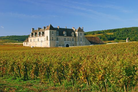 Wine-Stocks AG Zürich - Clos de Vougeot Burgund Wine-Stocks AG Zürich - Clos de Vougeot Burgund