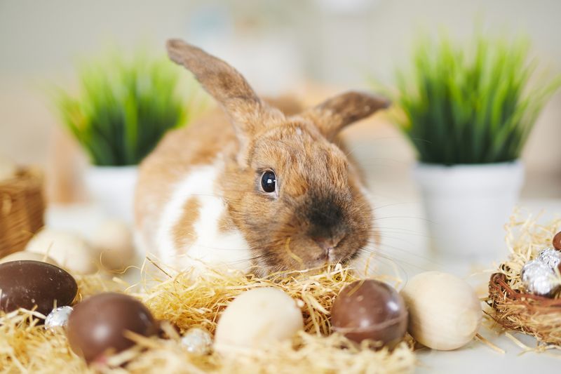 Foto: Fotolia / pressmaster
