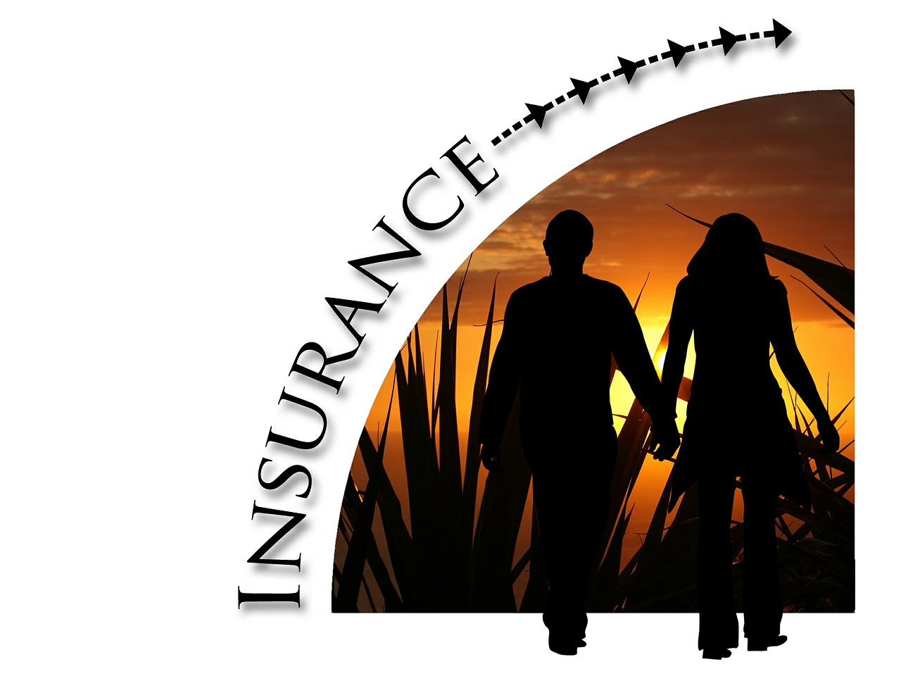 Für international tätige Versicherungen und Rückversicherungen sind Insurance-Domains optimal (Bildq