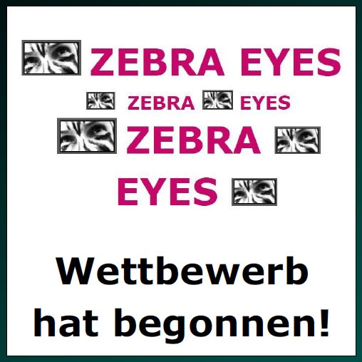 Wettbewerb Zebra Eyes